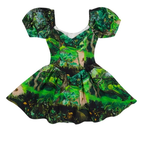 Fashion Brand Company Dresses & Skirts - Fashion Brand Company Green & Black Mini Dress